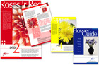 catalog