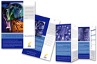 dubai brochure design