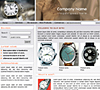 website